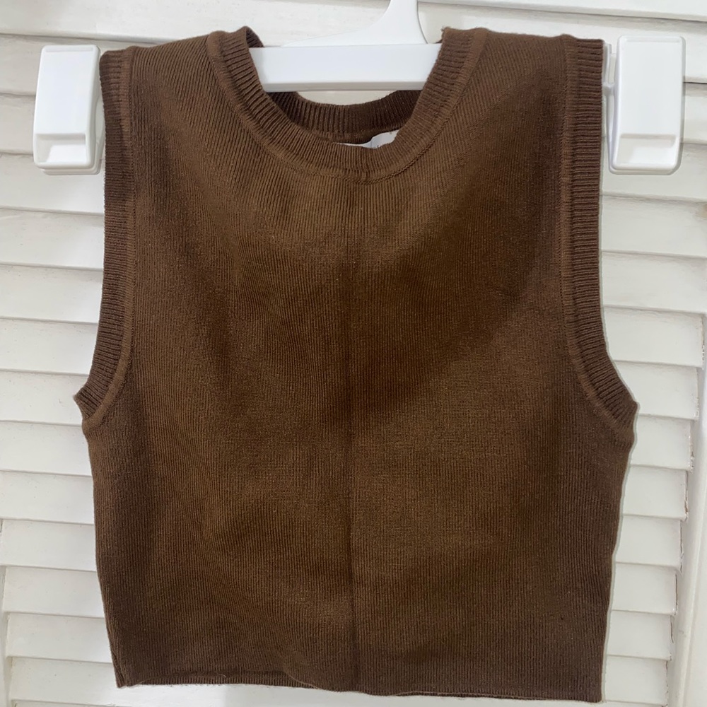 Zara Brown Crop Sweater Tank